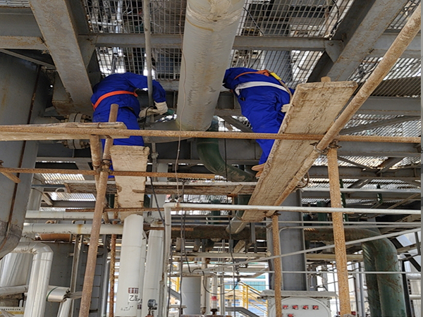 ɽܵb(bo)z(P䓲|(zh))